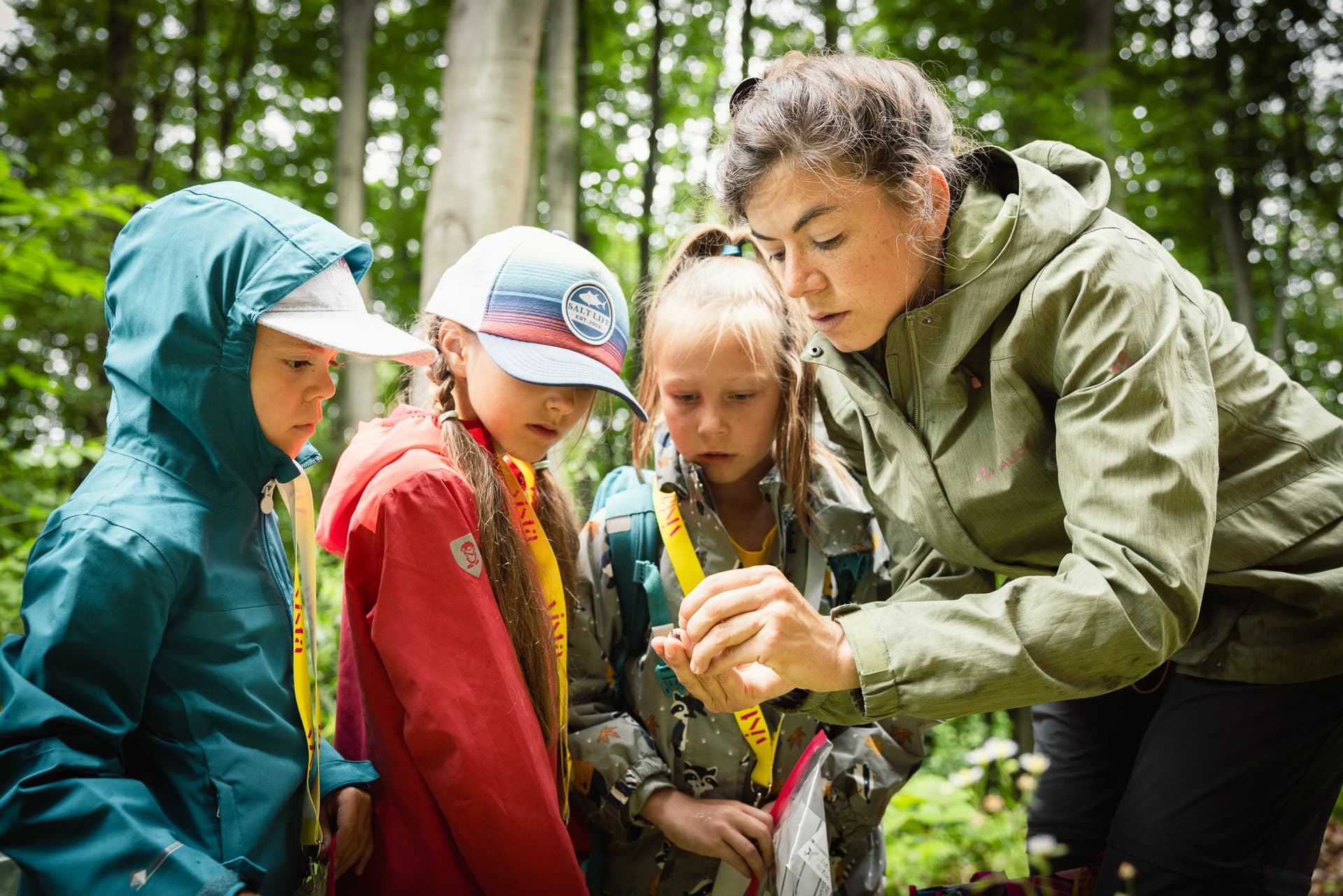Eine Frau in einer grünen Jacke zeigt drei Kindern etwas im Wald. Die Kinder tragen bunte Jacken und Hüte.